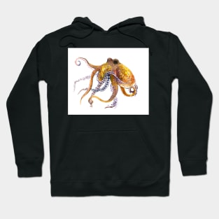 Octopus, Yellow Orange home decor Hoodie